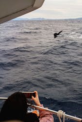 JAM(ジャム)マリンクラブに投稿された画像(2025/4/2)