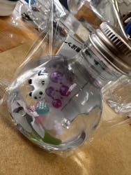 A-GLASS(エーグラス)に投稿された画像(2025/4/2)