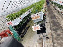 たにい農園に投稿された画像(2025/4/2)