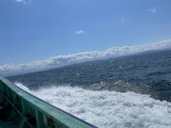 えびすや釣具店 謙信丸に投稿された画像(2025/4/2)