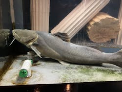 アソビュー株式会社 161452に投稿された画像(2025/4/4)