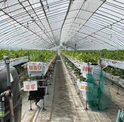 たにい農園に投稿された画像(2025/4/6)