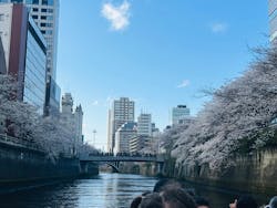 東京ウォータウェイズに投稿された画像(2025/4/10)