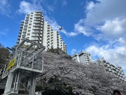 東京ウォータウェイズに投稿された画像(2025/4/10)