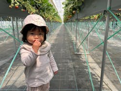 平塚土屋農場に投稿された画像(2025/4/12)