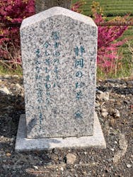 有限会社ヤマタカ櫻井製茶に投稿された画像(2025/4/18)