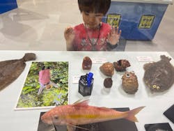 ギョギョッとサカナ★スター展に投稿された画像(2025/4/22)