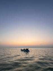 石垣島シュノーケルツアーに投稿された画像(2025/4/24)