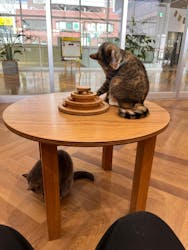 アソビュー株式会社 162724に投稿された画像(2025/4/26)