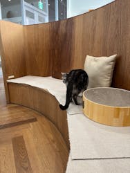 アソビュー株式会社 162724に投稿された画像(2025/4/26)