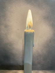 広島ホームテレビ開局55周年記念 キボリノコンノ展に投稿された画像(2025/5/3)