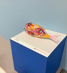 ギョギョッとサカナ★スター展に投稿された画像(2025/5/5)