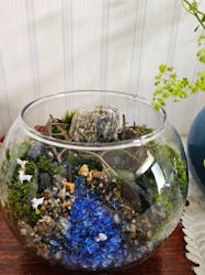 カルチャースクールいろはに投稿された画像(2025/5/5)