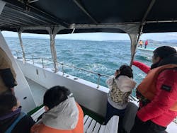 イルカウォッチング受付予約センターに投稿された画像(2025/5/7)