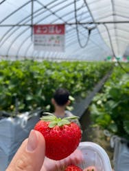 森ファームに投稿された画像(2025/5/13)