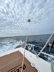 CoCoMarin(ココマリン)に投稿された画像(2025/5/29)