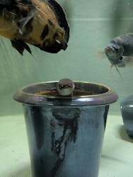 アクアテラス錦ケ丘に投稿された画像(2025/5/31)