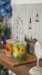 SEASON(シーズン)に投稿された画像(2025/6/5)