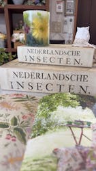 SEASON(シーズン)に投稿された画像(2025/6/5)