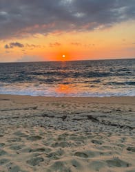 屋久島冒険旅に投稿された画像(2025/6/9)