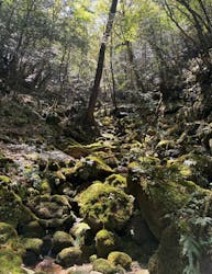 屋久島冒険旅に投稿された画像(2025/6/9)