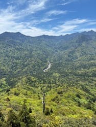 屋久島冒険旅に投稿された画像(2025/6/9)