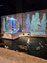 アクアテラス錦ケ丘に投稿された画像(2025/6/21)