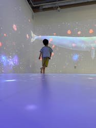 ハピピランド ラグーナ蒲郡に投稿された画像(2025/6/22)