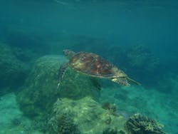 マリンカンパニーに投稿された画像(2025/6/23)