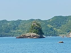 紀の松島めぐりに投稿された画像(2025/6/23)