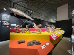 大哺乳類展に投稿された画像(2025/7/6)