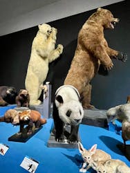 大哺乳類展に投稿された画像(2025/7/6)