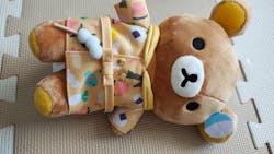 特別展「和食 ~日本の自然、人々の知恵~」に投稿された画像(2025/7/7)