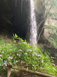 ジャパンだるまツアーに投稿された画像(2025/7/11)