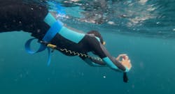 オレンジフィッシュに投稿された画像(2025/7/12)