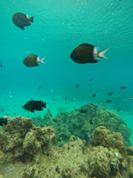 isola blue(イゾラブルー)に投稿された画像(2025/7/14)