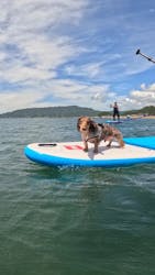 Umi to Yama SUPスクールに投稿された画像(2025/7/19)