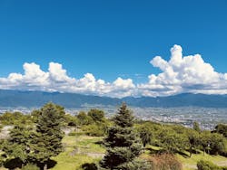 フルーツパーク富士屋ホテルに投稿された画像(2025/7/20)