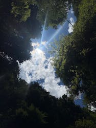 West Adventure(ウエストアドベンチャー)に投稿された画像(2025/7/22)