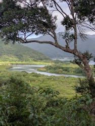 マングローブ茶屋に投稿された画像(2025/7/23)