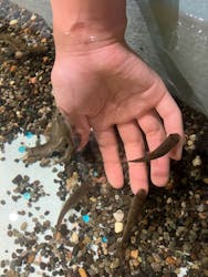 アクアテラス錦ケ丘に投稿された画像(2025/7/26)