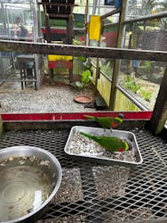 OKINAWAフルーツらんどに投稿された画像(2025/7/27)