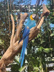 神戸どうぶつ王国×有馬街道温泉すずらんの湯に投稿された画像(2025/8/3)