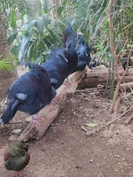 神戸どうぶつ王国×有馬街道温泉すずらんの湯に投稿された画像(2025/8/3)