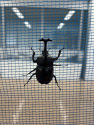 やまぐちフラワーランドに投稿された画像(2025/8/6)