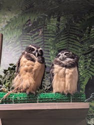 DMMかりゆし水族館に投稿された画像(2025/8/10)