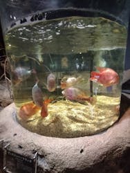 DMMかりゆし水族館に投稿された画像(2025/8/10)