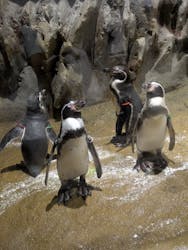 DMMかりゆし水族館に投稿された画像(2025/8/10)