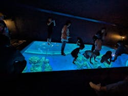 DMMかりゆし水族館に投稿された画像(2025/8/10)