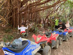 ヤンバルンチャーに投稿された画像(2025/8/12)